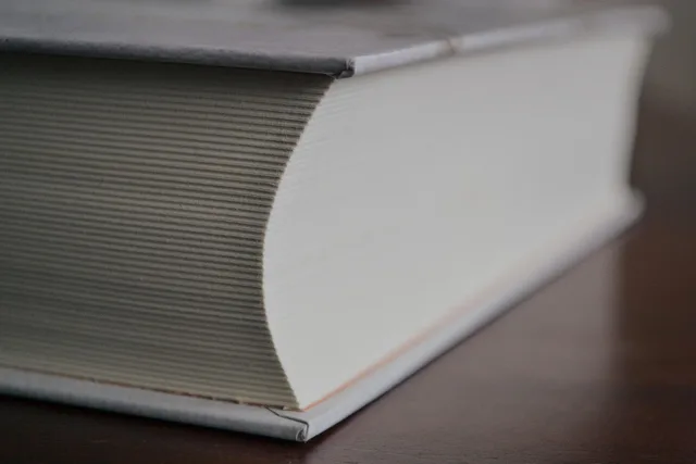 big, book, business, catalog, closed, closeup, cover, covers, dictionary, education, encyclopedia, fat, gray book, gray books, gray education, gray closed, dictionary, dictionary, dictionary, dictionary, dictionary. How to read a business majors curriculum